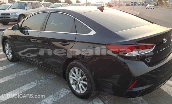 Buy Import Hyundai Sonata Black Car in Import - Dubai in Bagmati Buy Import Hyundai Sonata Black Car in Import - Dubai in Bagmati