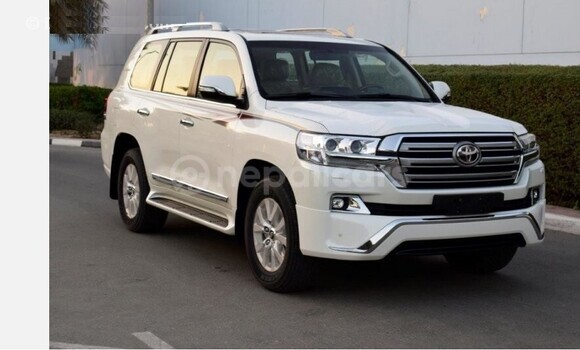 Buy Used Toyota Land Cruiser White Car in Bhadrapur in Mechi