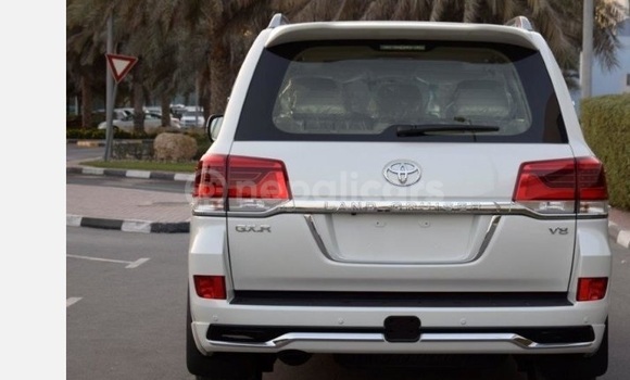 Buy Used Toyota Land Cruiser White Car in Bhadrapur in Mechi Buy Used Toyota Land Cruiser White Car in Bhadrapur in Mechi