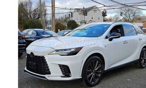 Buy Used Lexus RX 330 White Car in Bhadrapur in Mechi
