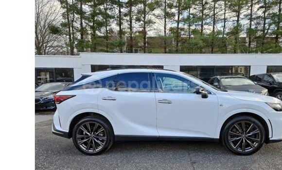 Buy Used Lexus RX 330 White Car in Bhadrapur in Mechi Buy Used Lexus RX 330 White Car in Bhadrapur in Mechi