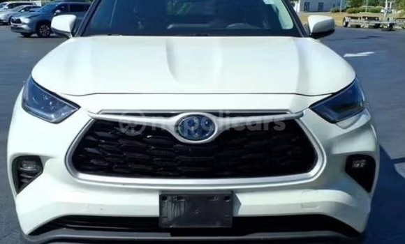 Buy Used Toyota Highlander White Car in Bhadrapur in Mechi