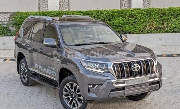 Buy Used Toyota Land Cruiser Prado Other Car in Bhadrapur in Mechi