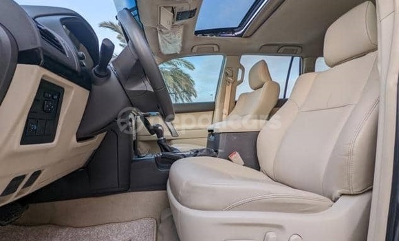 Buy Used Toyota Land Cruiser Prado Other Car in Bhadrapur in Mechi Buy Used Toyota Land Cruiser Prado Other Car in Bhadrapur in Mechi