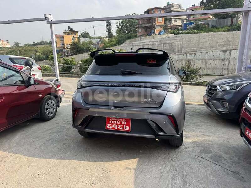 Big with watermark byd dolphin mechi bhadrapur 5625