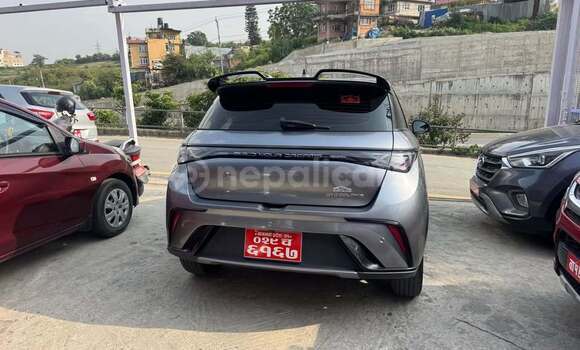 Buy Used BYD Dolphin Other Car in Bhadrapur in Mechi Buy Used BYD Dolphin Other Car in Bhadrapur in Mechi