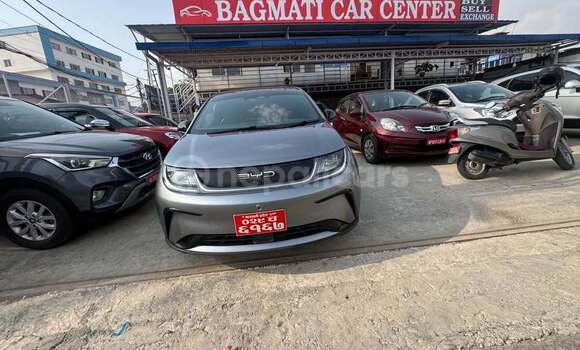 Buy Used BYD Dolphin Other Car in Bhadrapur in Mechi Buy Used BYD Dolphin Other Car in Bhadrapur in Mechi