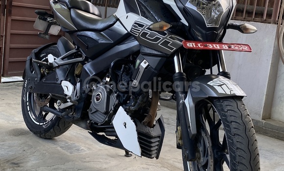 Buy Used Bajaj PULSAR White pearl Bike in Lalitpur inside ring road in Bagmati province