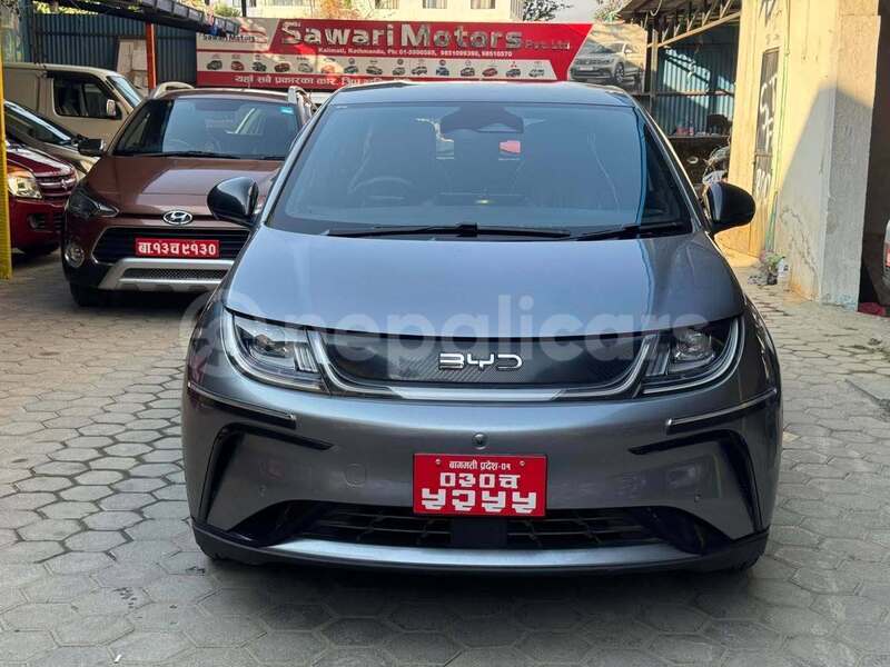 Big with watermark byd dolphin koshi province arjundhara 5733