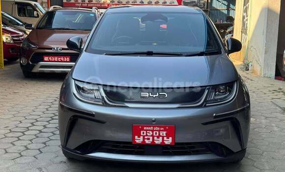 Buy Used BYD Dolphin Other Car in Arjundhara in Koshi province Buy Used BYD Dolphin Other Car in Arjundhara in Koshi province