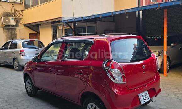 Buy Used Suzuki Alto Red Car in Bardibas in Madhesh province Buy Used Suzuki Alto Red Car in Bardibas in Madhesh province