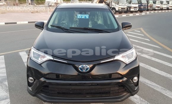 Buy Import Toyota 4Runner Black Car in Import - Dubai in Bagmati Buy Import Toyota 4Runner Black Car in Import - Dubai in Bagmati