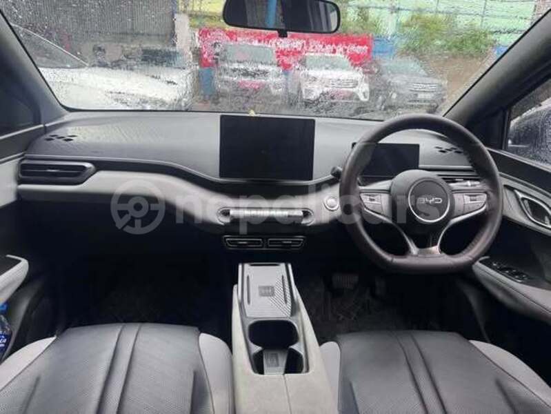 Big with watermark byd e6 bagmati kathmandu 5785