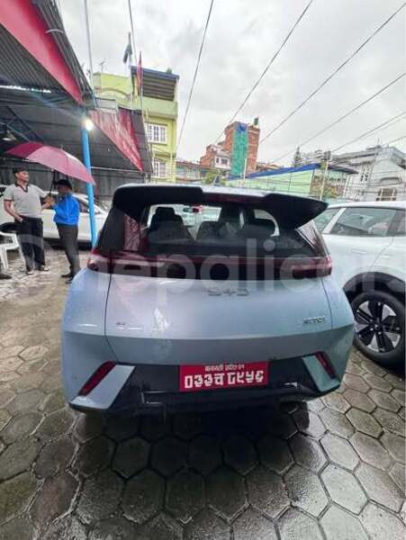 Big with watermark byd e6 bagmati kathmandu 5785