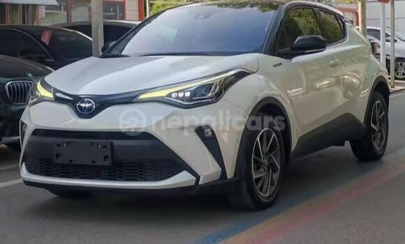 Buy Used Toyota C-HR White Car in Bhadrapur in Mechi Buy Used Toyota C-HR White Car in Bhadrapur in Mechi