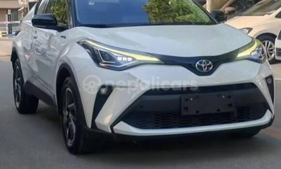 Buy Used Toyota C-HR White Car in Bhadrapur in Mechi Buy Used Toyota C-HR White Car in Bhadrapur in Mechi