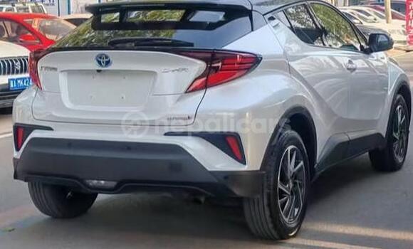 Buy Used Toyota C-HR White Car in Bhadrapur in Mechi Buy Used Toyota C-HR White Car in Bhadrapur in Mechi