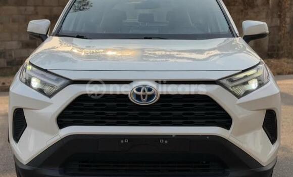 Buy Used Toyota RAV4 White Car in Bhadrapur in Mechi