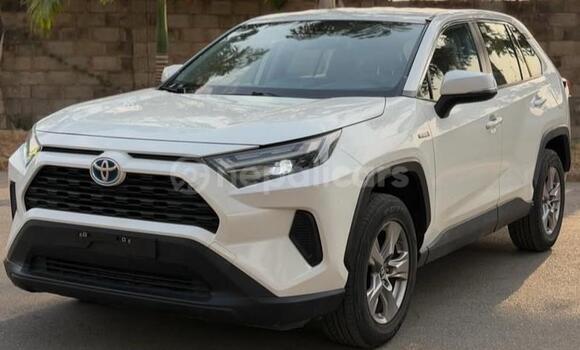 Buy Used Toyota RAV4 White Car in Bhadrapur in Mechi Buy Used Toyota RAV4 White Car in Bhadrapur in Mechi