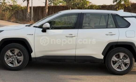 Buy Used Toyota RAV4 White Car in Bhadrapur in Mechi Buy Used Toyota RAV4 White Car in Bhadrapur in Mechi