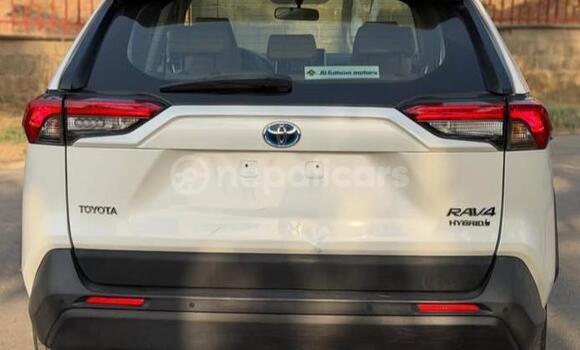 Buy Used Toyota RAV4 White Car in Bhadrapur in Mechi Buy Used Toyota RAV4 White Car in Bhadrapur in Mechi