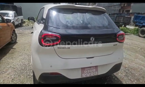Buy Used Nammi Vigo White Car in Kathmandu metro 7 - chabahil area in Bagmati province