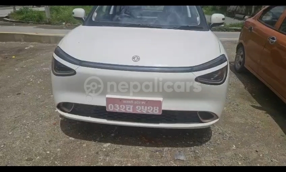 Buy Used Nammi Vigo White Car in Kathmandu metro 7 - chabahil area in Bagmati province Buy Used Nammi Vigo White Car in Kathmandu metro 7 - chabahil area in Bagmati province
