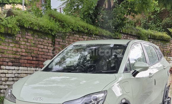 Buy Used Neta V Green Car in Kathmandu metro 3 - maharajgunj area in Bagmati province