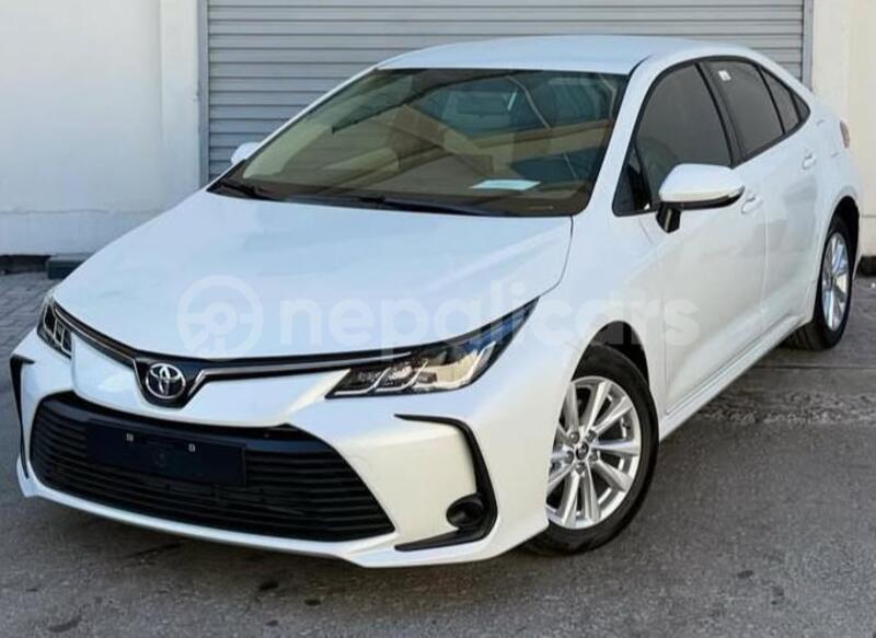 Big with watermark toyota corolla mechi bhadrapur 5916