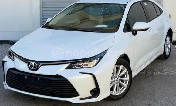 Buy Used Toyota Corolla White Car in Bhadrapur in Mechi