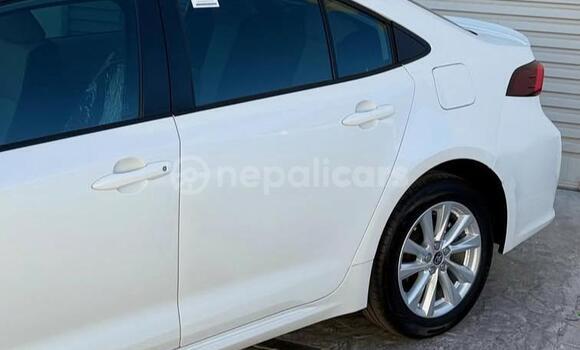 Buy Used Toyota Corolla White Car in Bhadrapur in Mechi Buy Used Toyota Corolla White Car in Bhadrapur in Mechi