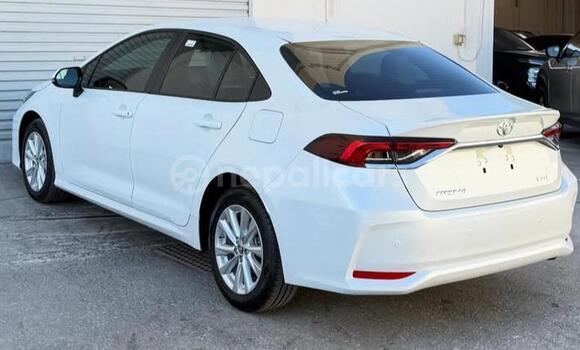 Buy Used Toyota Corolla White Car in Bhadrapur in Mechi Buy Used Toyota Corolla White Car in Bhadrapur in Mechi