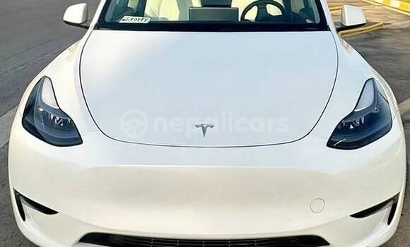 Buy Used Tesla Model X White Car in Bhadrapur in Mechi