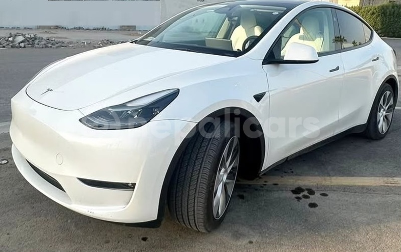 Big with watermark tesla model x mechi bhadrapur 5925