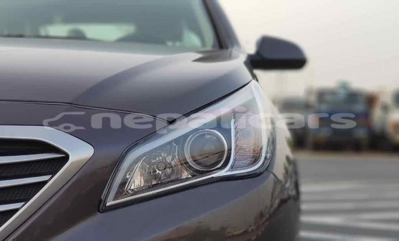 Buy Import Hyundai Sonata Brown Car in Import - Dubai in Bagmati Buy Import Hyundai Sonata Brown Car in Import - Dubai in Bagmati