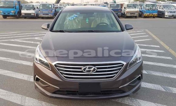Buy Import Hyundai Sonata Brown Car in Import - Dubai in Bagmati Buy Import Hyundai Sonata Brown Car in Import - Dubai in Bagmati