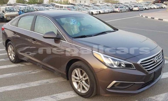 Buy Import Hyundai Sonata Brown Car in Import - Dubai in Bagmati Buy Import Hyundai Sonata Brown Car in Import - Dubai in Bagmati