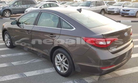 Buy Import Hyundai Sonata Brown Car in Import - Dubai in Bagmati Buy Import Hyundai Sonata Brown Car in Import - Dubai in Bagmati