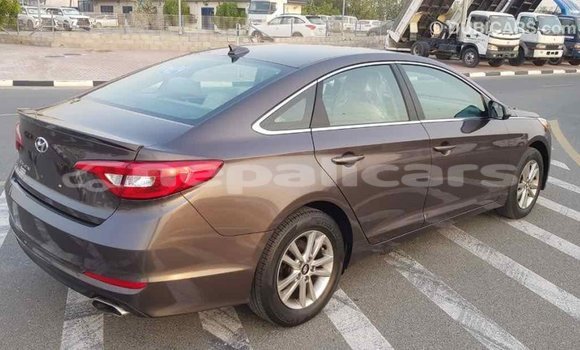 Buy Import Hyundai Sonata Brown Car in Import - Dubai in Bagmati Buy Import Hyundai Sonata Brown Car in Import - Dubai in Bagmati