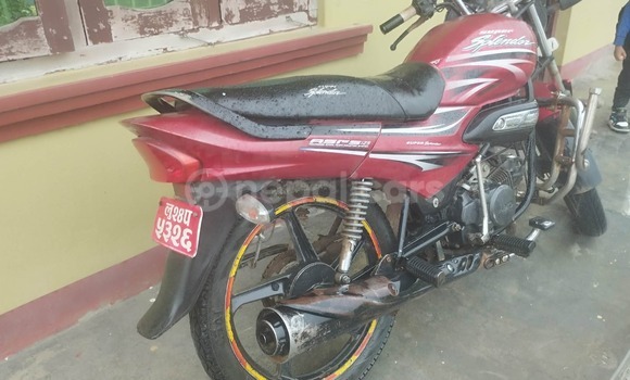Buy Used Hero Hero splendor plus Red Bike in Butwal in Lumbini
