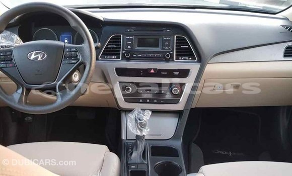 Buy Import Hyundai Sonata Brown Car in Import - Dubai in Bagmati Buy Import Hyundai Sonata Brown Car in Import - Dubai in Bagmati