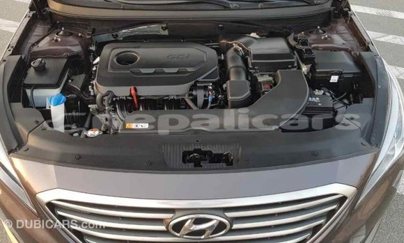Buy Import Hyundai Sonata Brown Car in Import - Dubai in Bagmati Buy Import Hyundai Sonata Brown Car in Import - Dubai in Bagmati