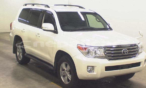 Buy Import Toyota Land Cruiser White Car in Import - Dubai in Bagmati Buy Import Toyota Land Cruiser White Car in Import - Dubai in Bagmati