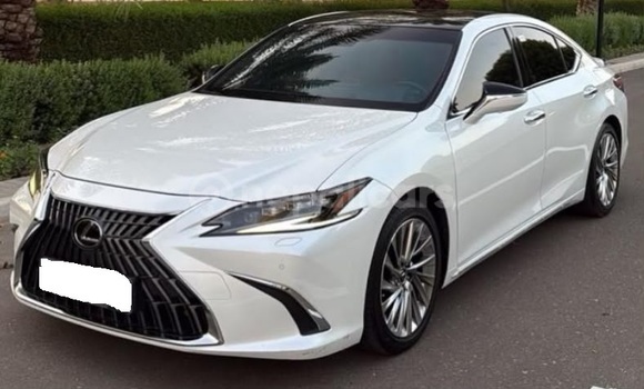Buy Used Lexus ES White Car in Bhadrapur in Mechi