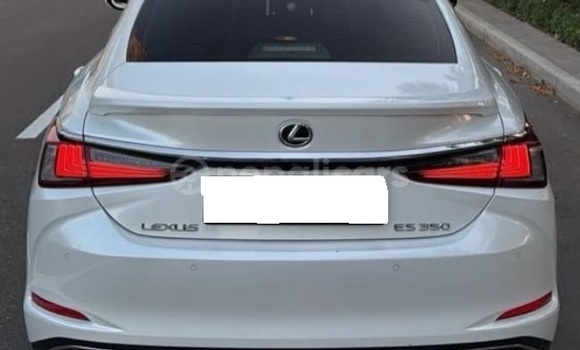 Buy Used Lexus ES White Car in Bhadrapur in Mechi Buy Used Lexus ES White Car in Bhadrapur in Mechi