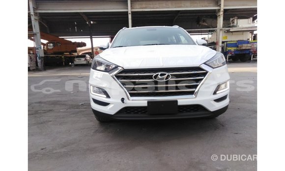Buy Import Hyundai Tucson White Car in Import - Dubai in Bagmati Buy Import Hyundai Tucson White Car in Import - Dubai in Bagmati
