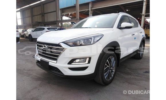 Buy Import Hyundai Tucson White Car in Import - Dubai in Bagmati Buy Import Hyundai Tucson White Car in Import - Dubai in Bagmati