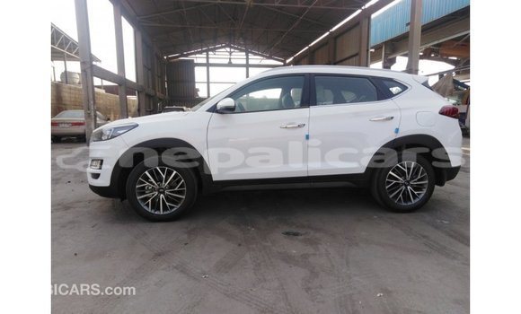 Buy Import Hyundai Tucson White Car in Import - Dubai in Bagmati Buy Import Hyundai Tucson White Car in Import - Dubai in Bagmati