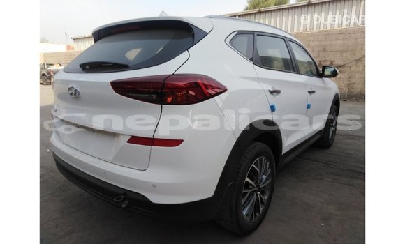 Buy Import Hyundai Tucson White Car in Import - Dubai in Bagmati Buy Import Hyundai Tucson White Car in Import - Dubai in Bagmati