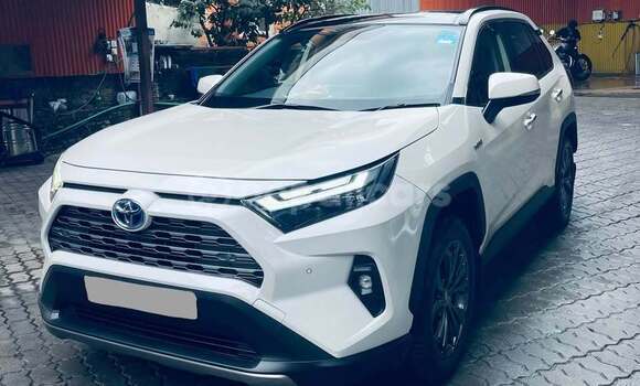 Buy Used Toyota Rav 4 White Car in Kathmandu in Bagmati Buy Used Toyota Rav 4 White Car in Kathmandu in Bagmati